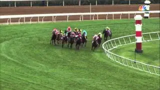 2015 Breeders' Cup Longines Turf