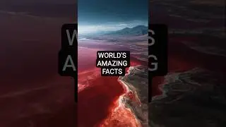 World's amazing facts #shorts #facts #amazing