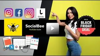 Распродажа SocialBee в Черную пятницу &mdash; самая большая скидка на инструменты для социальных сетей