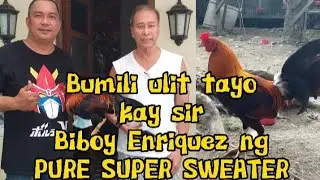 Acquiring new material from Biboy Enriquez of Firebird Gamefarm | PURE SUPER SWEATER