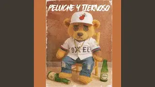 Peluche y Tiernoso