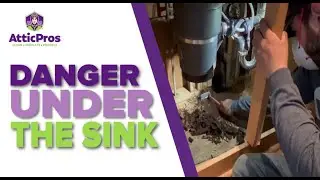 Mold Removal in San Jose, CA