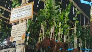 Ririn Anggrek sedang live sekarang!