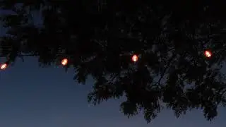 Evening breeze
