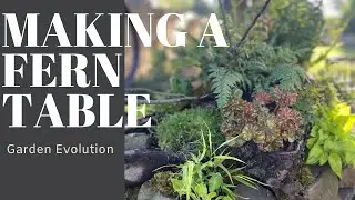 Making a fern table