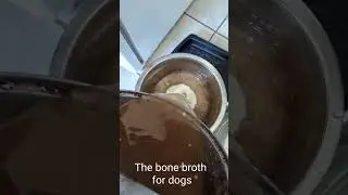 How the dog health benefits from bone broth @GabieCocoMarmora