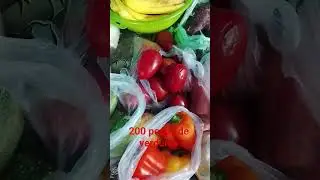 para 4 dias nadam&aacute;s