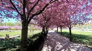 Volkspark Mariendorf