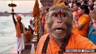 Monkesh Bhai ka Kedarnath Vlog 🐒 @caz_05
