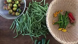 September Garden Walk at Maypop Homestead