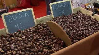 Quebra na produção não afastou produtores da Feira da Castanha em Carrazedo
