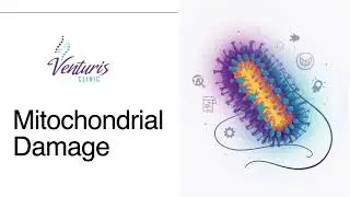 Mitochondrial Damage Uncovered: Stem Cell Repair, Long COVID, Autoimmune & Cancer Recovery
