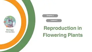 Unit 1 - Chapter 3 - Lesson 3 - Reproduction in Flowering Plants