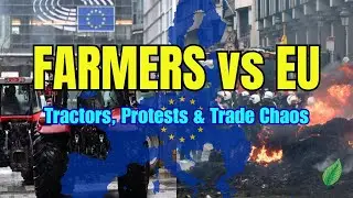 EU Farmers Revolt: Mercosur Deal Sparks Massive Protests