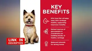 Hill's Science Diet Dry Dog Food, Adult, Healthy Mobility, Small Bites, Chicken revieww
