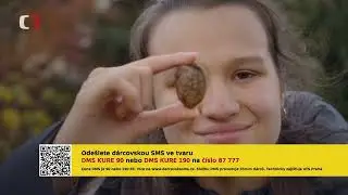 Spoluškola medajlonek