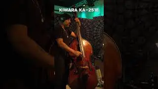 KIWARA AUDIO KA-251E VS Vintage ELAM251 - Acoustic Bass #kiwaraaudio #timelesssound #microphone
