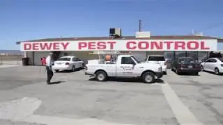 Dewey Pest Control and Termite Control - Pest Control Services