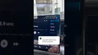 FM Radio on BYD ?