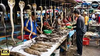 Inside World's Most Dangerous Markets You've Never Seen Before | Travel Documentary 4K
