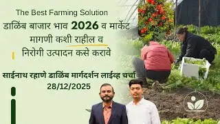 डाळिंब बाग बाजार भाव 2026 मागणी व उत्पादन कसे असेल साईनाथ रहाणे लाईव्ह चर्चा 28/12/2025