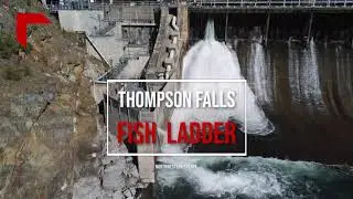 A Bird's-Eye View of the Thompson Falls Fish Ladder