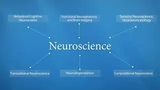 Publish with Springer in Neuroscience
