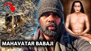 what is inside mahavatar babaji cave 😳 inside india's most mysterious | Try Today 
