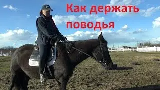 Про прокат. Как держать поводья.