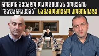 როგორ შეეძლო ოპოზიციას ქოცების 