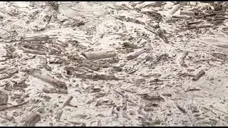 Flash floods in Shishi Koh, Chitral