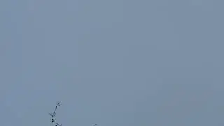A Insane Noisy sounding German Airbus A400M climbing above clouds!