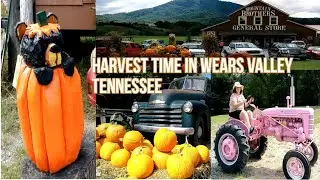 Harvest Time In Wears Valley Tennessee