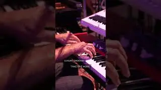 Toc Toc Trax presents: Luxury Grooves - 'Take five more' live #90s #jazz #music #groove #livemusic
