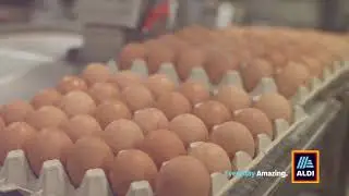 ALDI Eggs