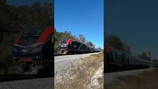 Amtrak P041/16 Floridian @ Lake Beresford Park FL