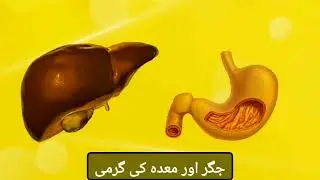 Liver Guard syrup by Herbal Haven
