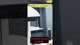 A day in my life as an international student in Canada 🇨🇦 #shorts #ytshorts #youtube #minivlog