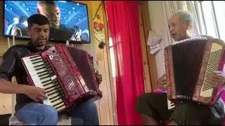 Dele gaita