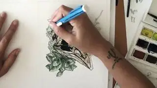 Crested Moa Speedpaint | Pepper Raccoon