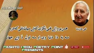 2 Line very Best Pashto Poetry Celebrating Mother Language Pashto Wareed, Sayil
