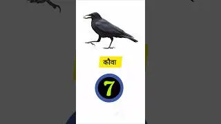 कौवा को इंग्लिश में क्या कहते हैं | #factsair #trending #gk #youtube #facts