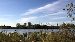 Tons of teal flying around!