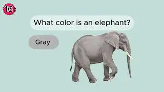 Fun Color Quiz for Kids! | 20 Questions Challenge