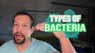 Shoulder infections: Part II-Which Bugs and Why?!