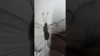 Flower and butterfly pencil drawing 🦋#dutter