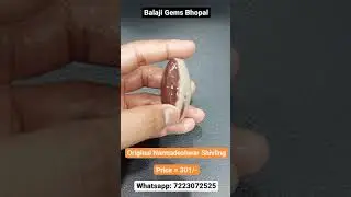 Narmadeshwar Shivling Ki Pehchan | Shivling | Balaji Gems Bhopal #youtubeshorts #shorts