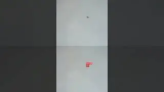 Bird tracking clip