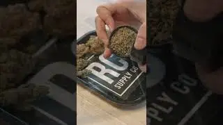 NEW Pink Rockstar By RC Supply Co.