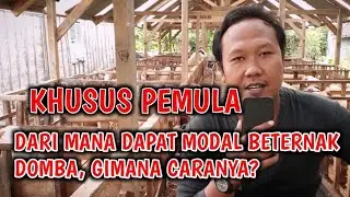 MODAL TERNAK DOMBA BERAPA DAN DAPAT DARI MANA ⁉️ APA CUMA MODAL NEKAT ⁉️